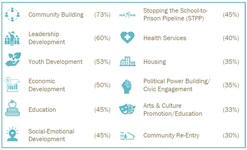 a diverse array of issues tackled by black-led organizations, as shown in icons & percentages
