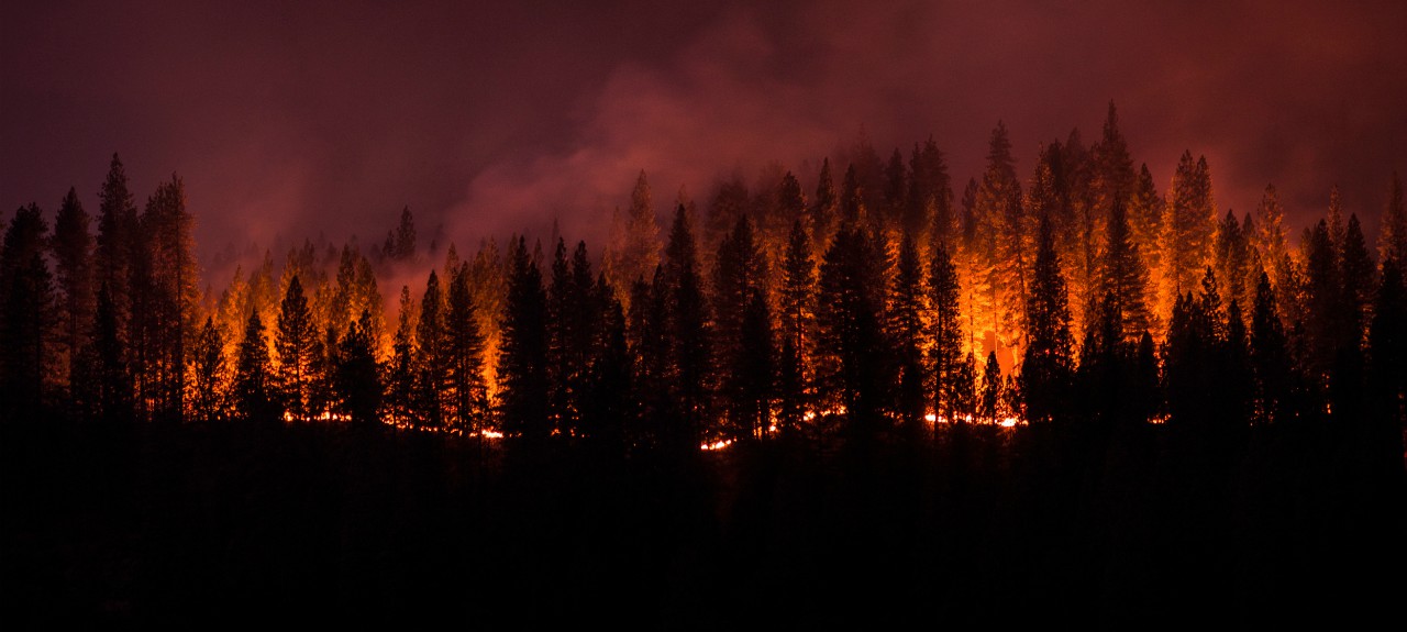 Supporting Communities Affected by Wildfires
